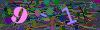 captcha-1781091620