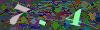 captcha-1781094066