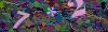 captcha-1781100440
