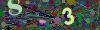captcha-1781145236
