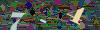captcha-1781162965