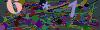 captcha-1781178470