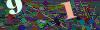 captcha-1781246115