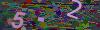 captcha-1781310664