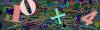 captcha-1781315957