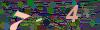 captcha-1781320980