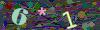 captcha-1781323428