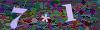 captcha-1781349670