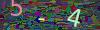 captcha-1781360461