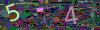 captcha-1781373314