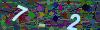 captcha-1781389517