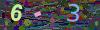 captcha-1781411235