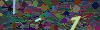 captcha-1781437381
