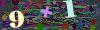 captcha-1781463727