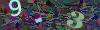 captcha-1781527984