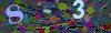 captcha-1781531859