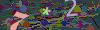 captcha-1781545050