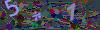 captcha-1781577393