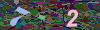 captcha-1781591012