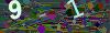 captcha-1781648800