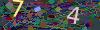 captcha-1781656328