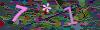 captcha-1781670385
