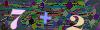 captcha-1781716899