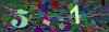 captcha-1781726280