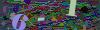 captcha-1781803406