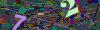captcha-1781808258