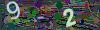 captcha-1781811450