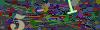 captcha-1781813096