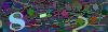 captcha-1781813250
