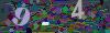 captcha-1781818697