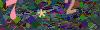 captcha-1781840927