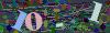 captcha-1781853359