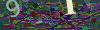captcha-1781878486