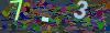 captcha-1781879905