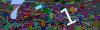captcha-1781883603
