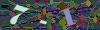 captcha-1781895354
