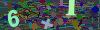 captcha-1781897399