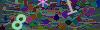 captcha-1781897475