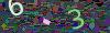 captcha-1781900499