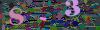 captcha-1781902521