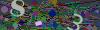 captcha-1781906692