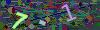 captcha-1781930209