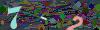 captcha-1781939827
