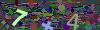 captcha-1781944708