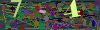 captcha-1781946299