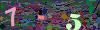 captcha-1781946879
